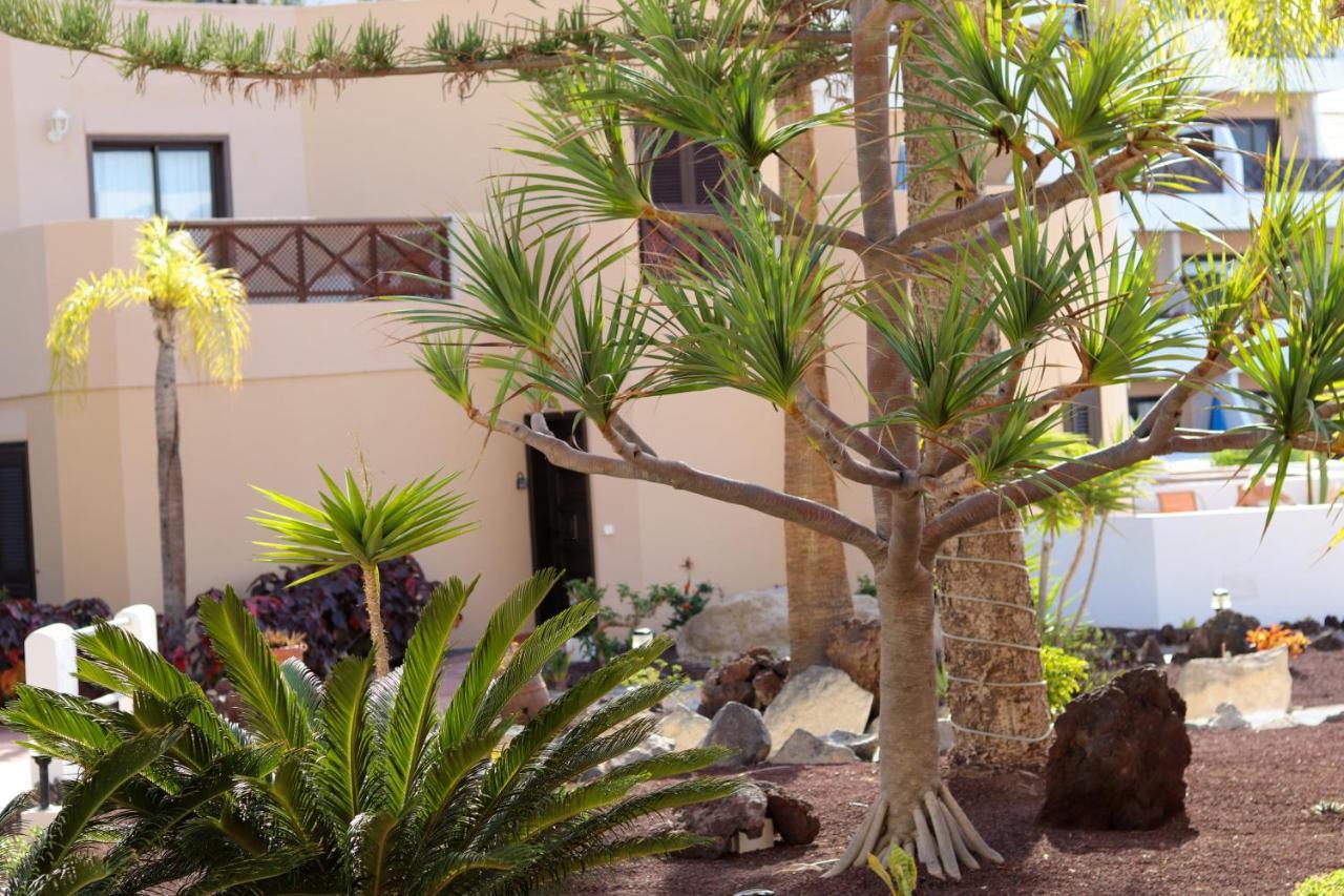 Parque Albatros 118 Apartman San Miguel de Abona Kültér fotó